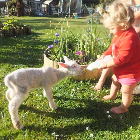 Little Paradise & Petting Farm 그레이마우스 외부 사진