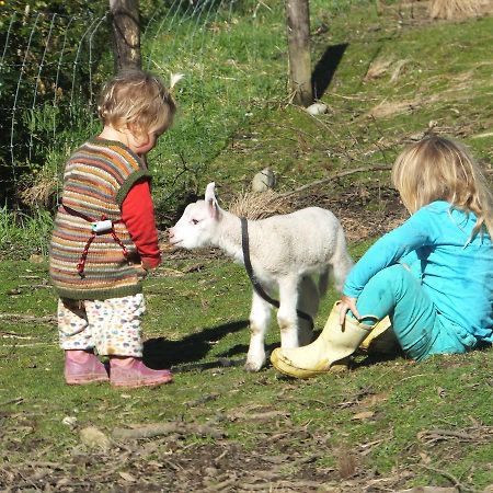 Little Paradise & Petting Farm 그레이마우스 외부 사진