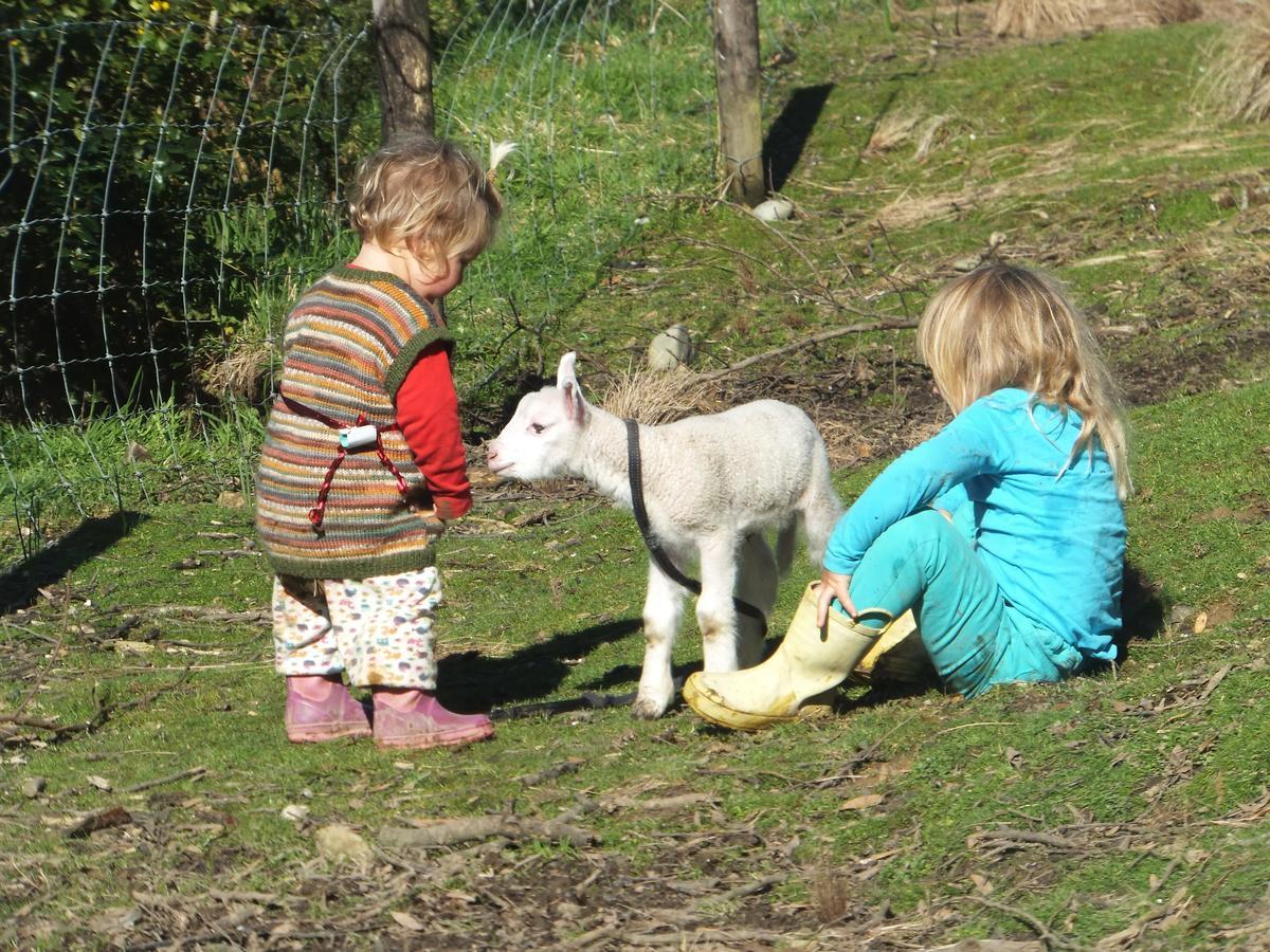 Little Paradise & Petting Farm 그레이마우스 외부 사진